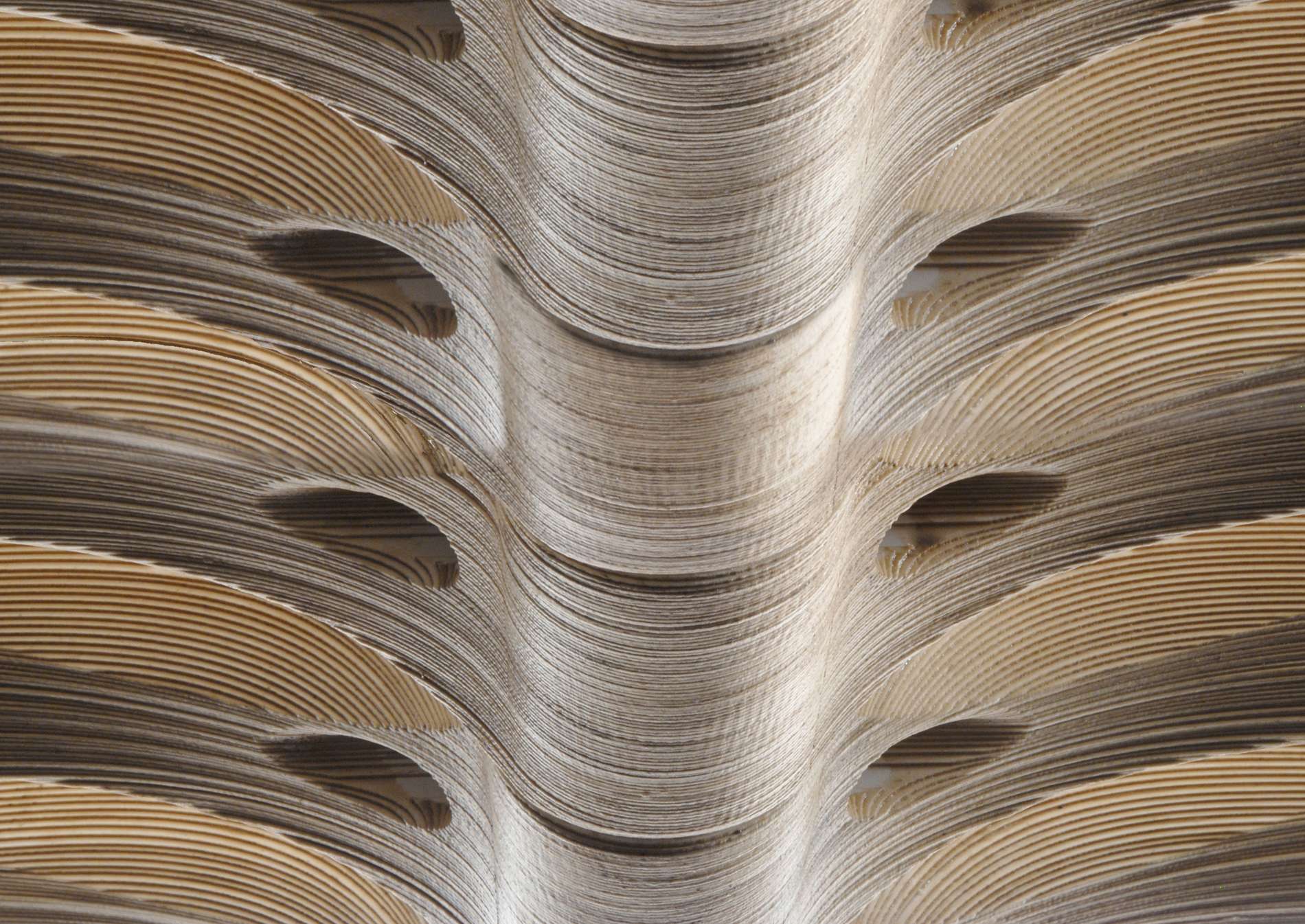 architecture plan or photo