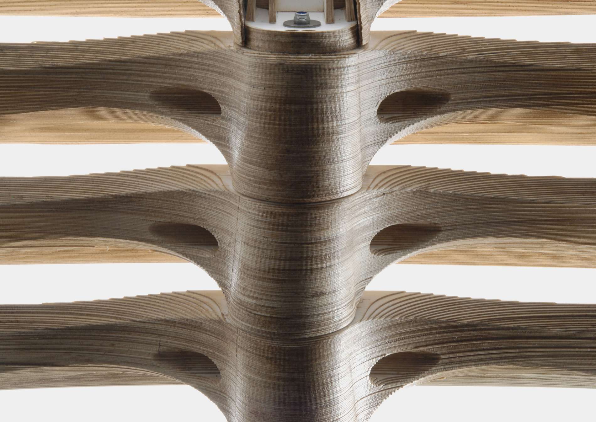 architecture plan or photo