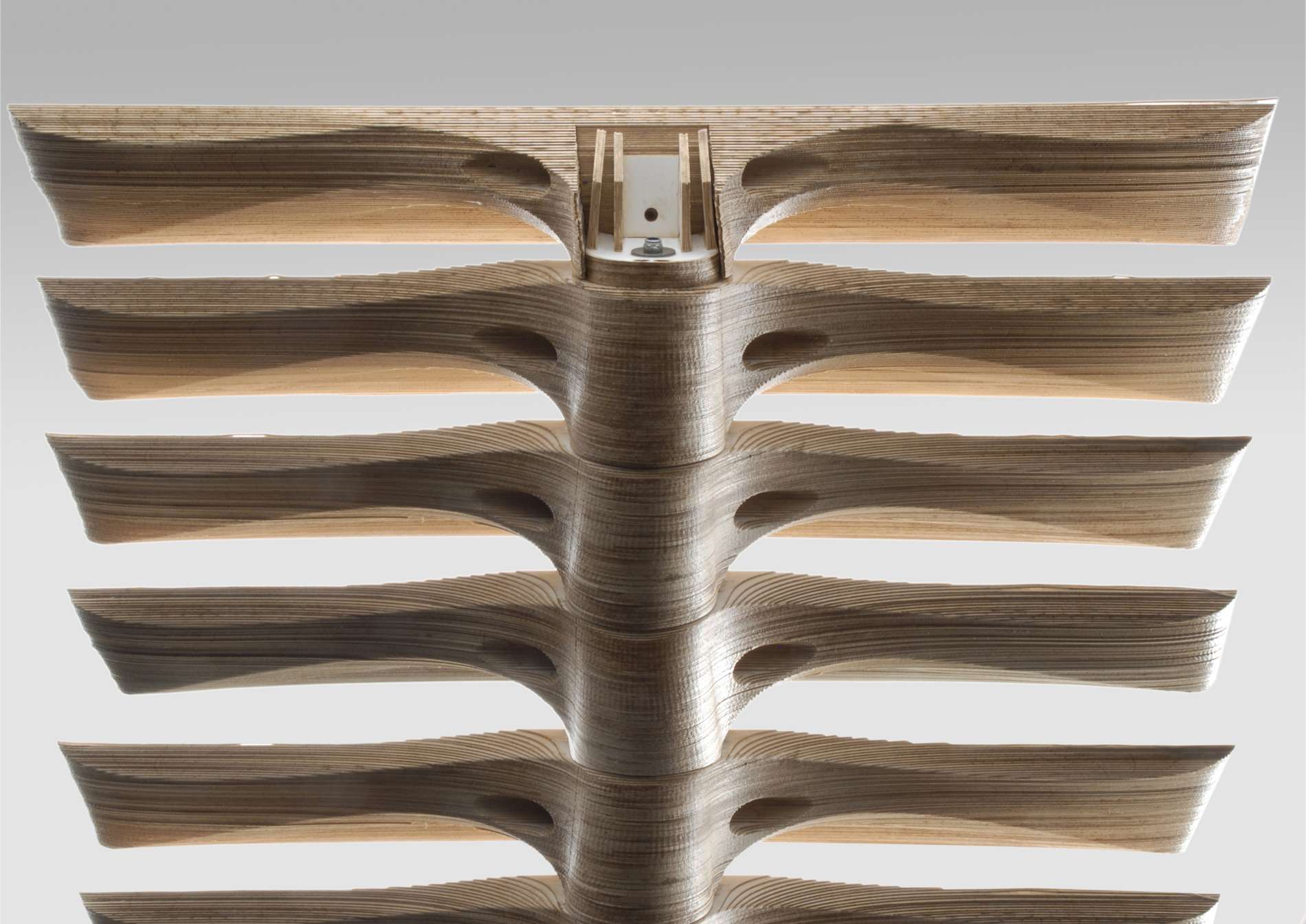 architecture plan or photo